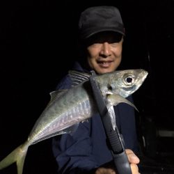 エヌスタイル 釣果