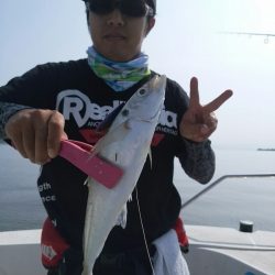 bay style 釣果