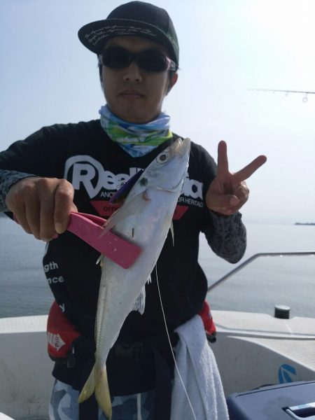 bay style 釣果