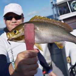 渡船屋たにぐち 釣果