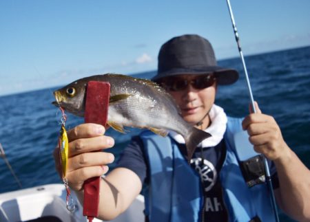 渡船屋たにぐち 釣果