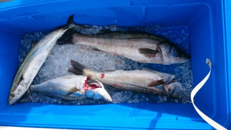 海龍丸（石川） 釣果