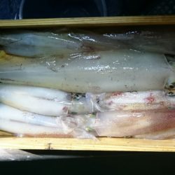 海龍丸（石川） 釣果