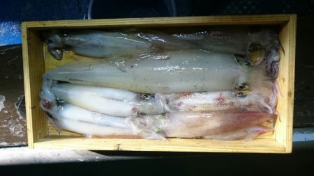 海龍丸（石川） 釣果