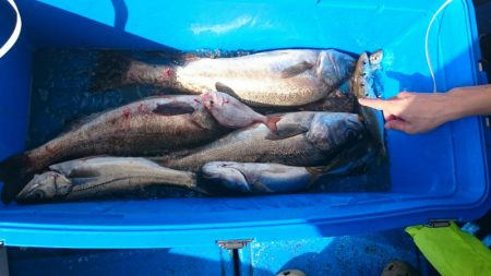 海龍丸（石川） 釣果