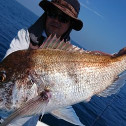 竹宝丸 釣果