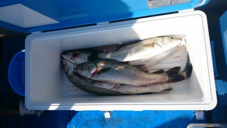 海龍丸（石川） 釣果