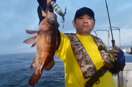 渡船屋たにぐち 釣果