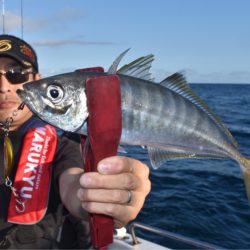 渡船屋たにぐち 釣果