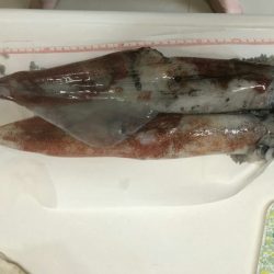 海龍丸（石川） 釣果