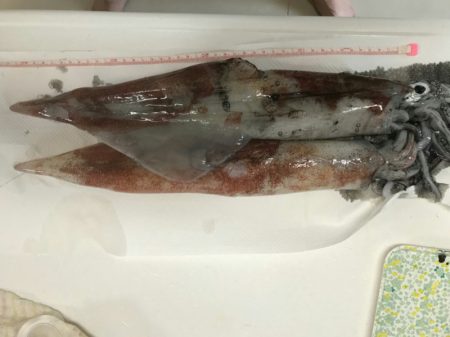 海龍丸（石川） 釣果