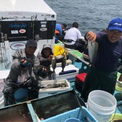 丸万釣船 釣果