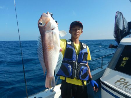 きずなまりん 釣果