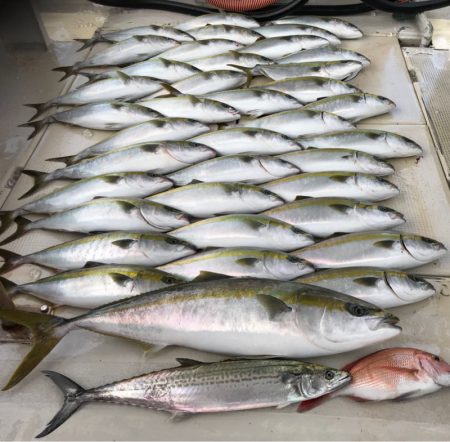 大雄丸 釣果