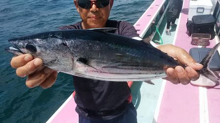 ぽん助丸 釣果