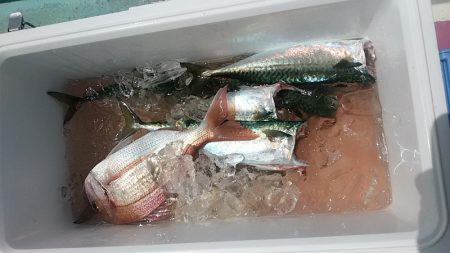 ぽん助丸 釣果