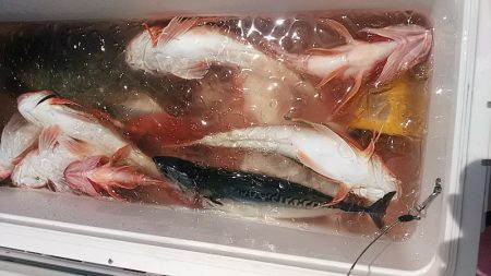 ぽん助丸 釣果