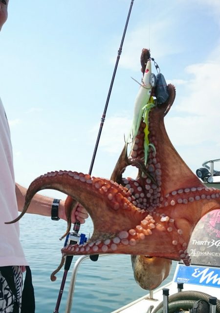 シースナイパー海龍 釣果