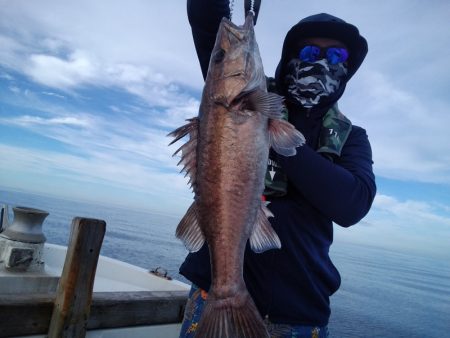 ひな丸 釣果