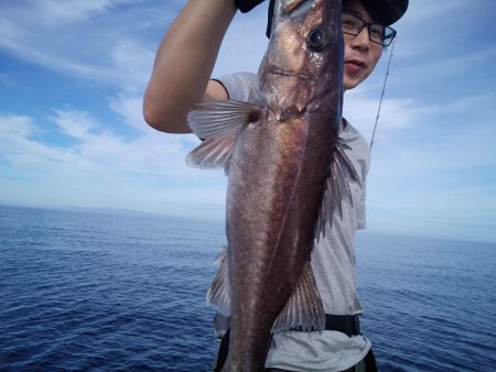 ひな丸 釣果