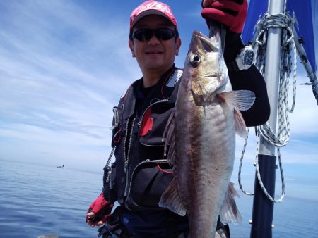 ひな丸 釣果