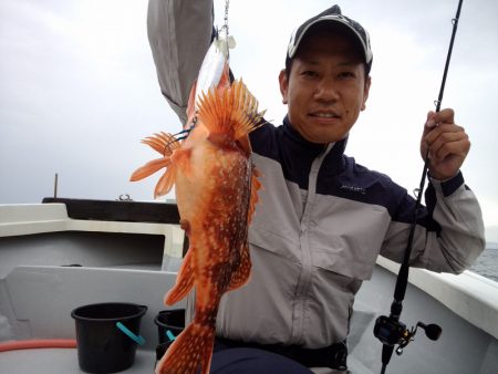 ひな丸 釣果