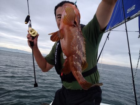 ひな丸 釣果