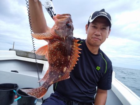 ひな丸 釣果