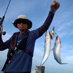 ひな丸 釣果