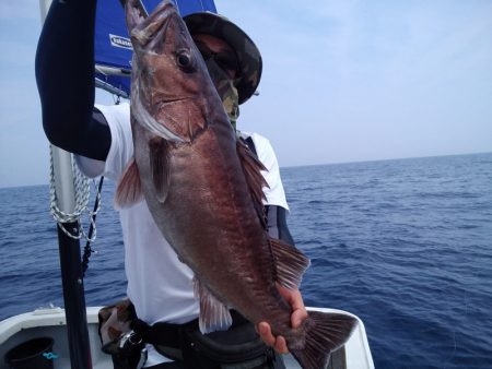 ひな丸 釣果