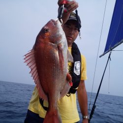 ひな丸 釣果