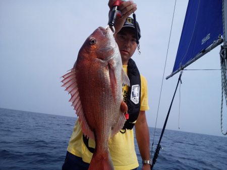 ひな丸 釣果