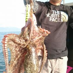 シースナイパー海龍 釣果