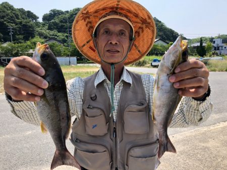 WING 釣果