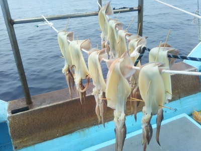 はしくに 釣果