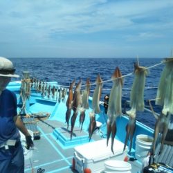 はしくに 釣果