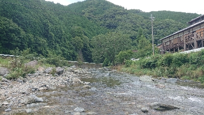 鮎 第四戦  ホーム高見川