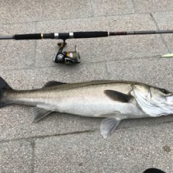 恵みの雨や