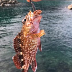 オヤジ達の釣り旅行1日目