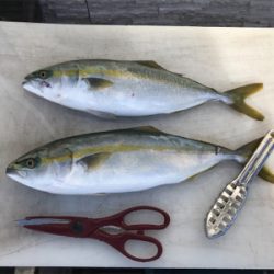 青物  ジギング  明石海峡大橋