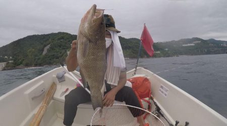 47cmの化け物オオモンハタ！この日は巨大魚連発。