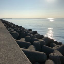 淡路島釣行