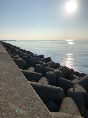 淡路島釣行