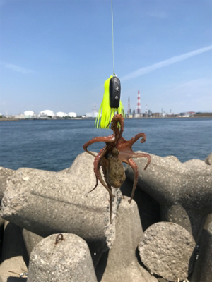 カンカン照りの真っ昼間