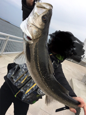 恵みの雨や