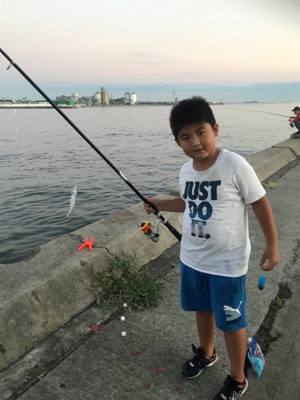 子供釣り 兵庫県 瀬戸内海側 姫路西部 サビキ サバ 陸っぱり 釣り 魚釣り 釣果情報サイト カンパリ