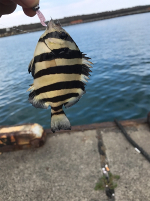 和田海水浴場