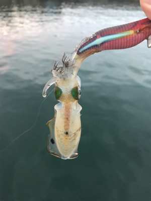 オヤジ達の釣り旅行1日目