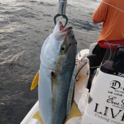 久々に実家で釣り２