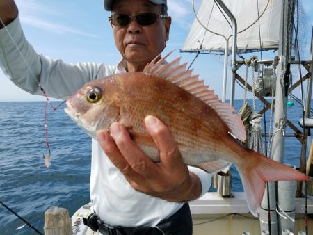 遊漁船　ニライカナイ 釣果